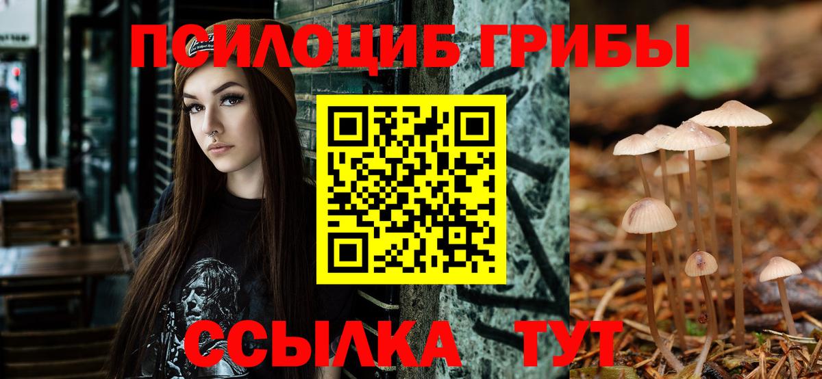Галлюциногенные грибы Psilocybine cubensis  Вход с VPN  где купить наркотик  Унеча 