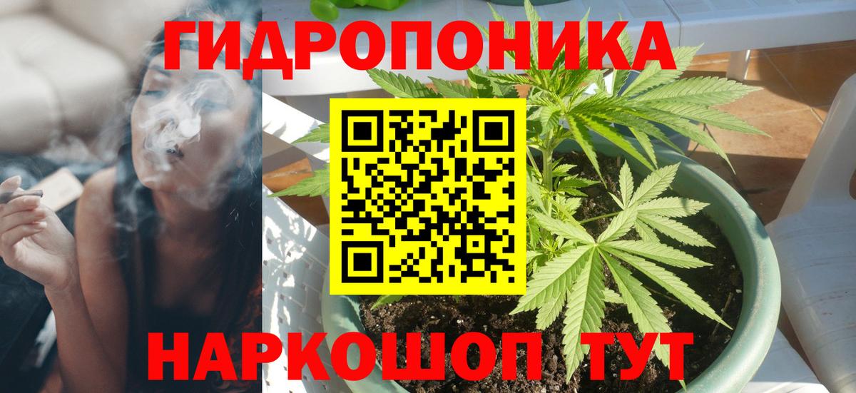 Марихуана Amnesia  Шишки марихуана планчик  Канабис сатива  Унеча  Вход с VPN 